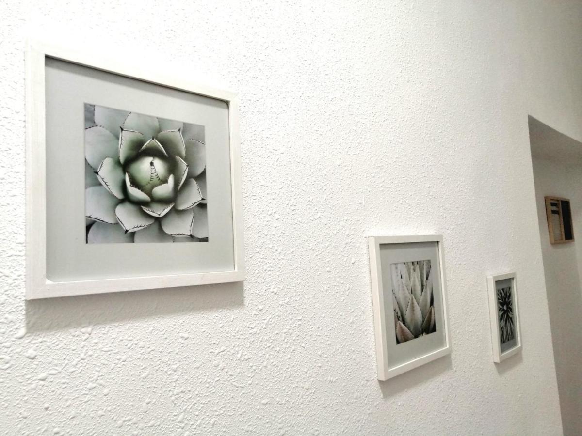 Room In The Center Of Alicante! Exterior foto